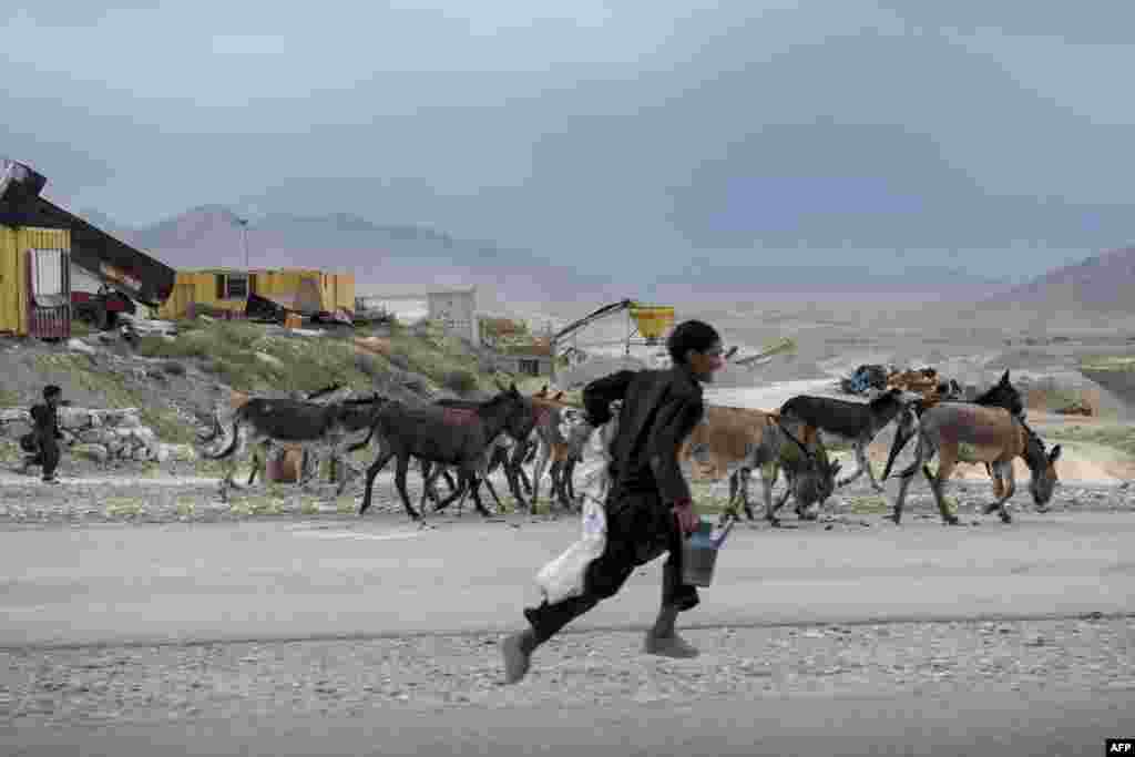 An Afghan boy runs with donkeys on the road to Bagram Airfield in Parwan on May 26. (AFP/Brendan Smialowski)