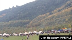 Кырчын жайлоосу