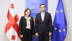 Эксперт Московского механизма ОБСЕ Патриция Гржебык встретилась с Народным защитником Леваном Иоселиани - 17 февраля 2026 года