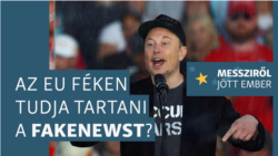 Zavarba ejti az EU-t Elon Musk nyílt beavatkozása a német választásba