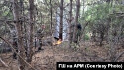 Илустрација, Армијата вклучена во гасењето пожари 