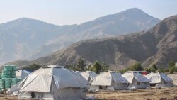 افغانستان - این خیمه‌ها برای شماری از زلزله‌زدگان در شرق کشور فراهم شده است.