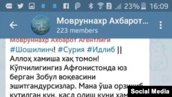 Ответственность за убийство Шейха Салахуддина взяла на себя террористическая организация «ИГ».