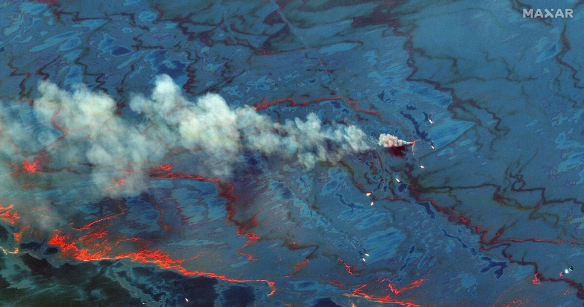 Европарламент поддержал уголовную ответственность за экоцид