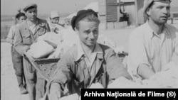 Brigadieri la șatierul de la Canalul Dunăre-Marea Neagră, într-un film de propagandă din 1950.