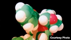 Модель молекулы противоопухолевого препарата Taxol. Препарат производится американской компанией