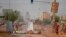 ناآرامی‌های سودان از ماه دسامبر شروع شد و در مدت کوتاهی، اعتراض‌ به افزایش بهای نان و کمبود پول نقد به یک جنبش سیاسی اعتراضی علیه حکومت عمرالبشیر بدل شد.
