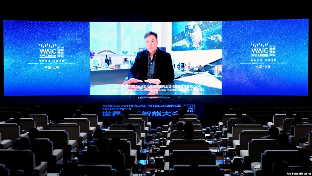 Ілон Маск стверджує, що свині імплантували у мозок чип - пристрій Neuralink