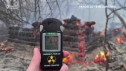 Лісова пожежа в Чорнобильській зоні триває третю добу – відео