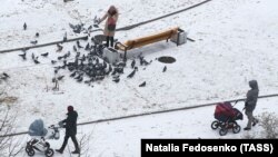 зачем повышать рождаемость в россии. 234D5C1A 188C 462D BBD5. зачем повышать рождаемость в россии фото. зачем повышать рождаемость в россии-234D5C1A 188C 462D BBD5. картинка зачем повышать рождаемость в россии. картинка 234D5C1A 188C 462D BBD5.