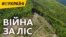 Війна за ліс – відео