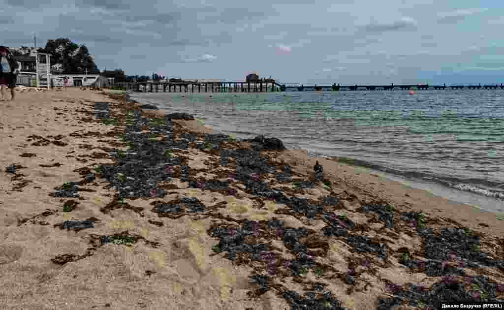 Пляжи укрыты лишь морскими водорослями, выброшенными штормами