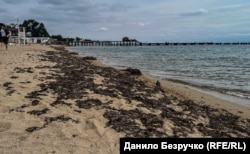 Євпаторійські пляжі вкриті морськими водоростями, викинутими штормом