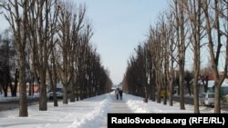 Мешканці міста активно обговорюють пропозицію мера про реконструкцію бульвару імені Тараса Шевченка