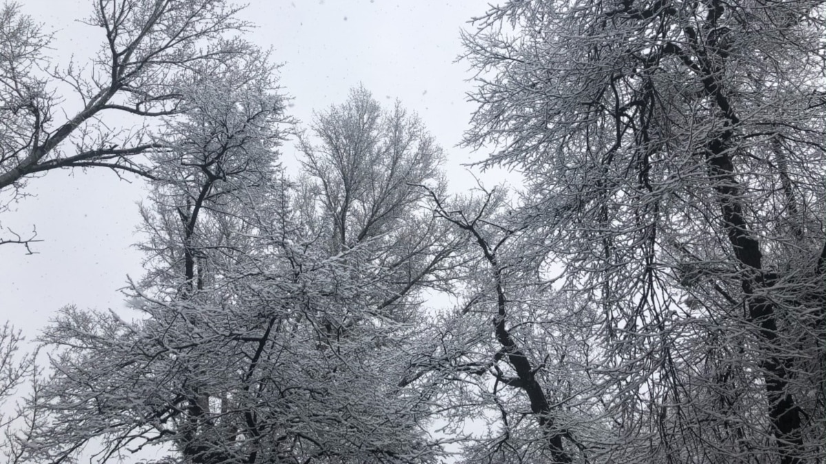 Помогай весне ешь снег фото