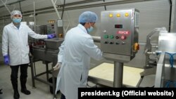 Молокоперерабатывающий завод в Ошской области. 2 ноября 2018 года.