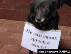 Many of the demonstrators were accompanied by their own pets at the protest.