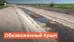 Обезвоженный Крым: лето без Днепровской воды