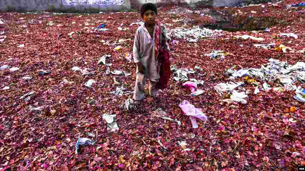 A boy searches for onions amid grocery waste in Peshawar, Pakistan. (epa/Bilawal Arbab)