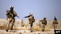 U.S. Marines patrol in Helmand Province