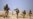 NATO: Assault Disrupts Taliban Leadership