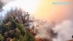 Пожары в Калифорнии: более 600 пропавших без вести