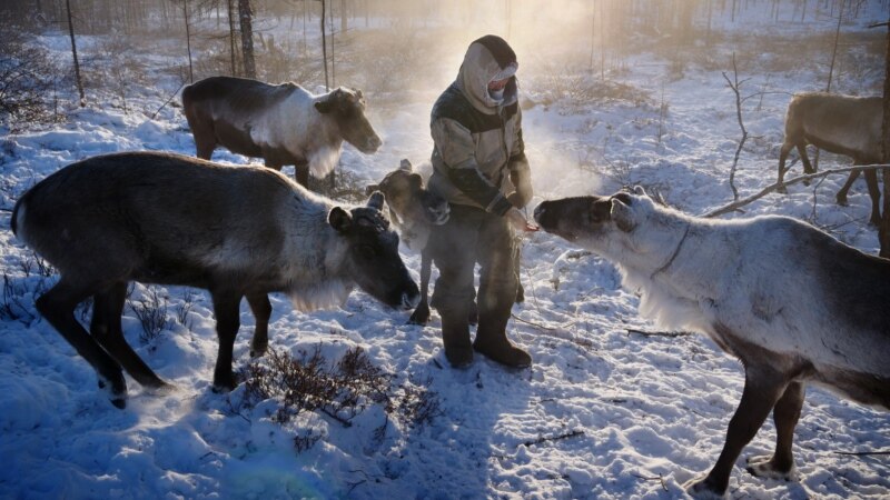 At Risk: Russia’s Indigenous Peoples Sound Alarm On Loss Of Arctic, Traditional Way Of Life