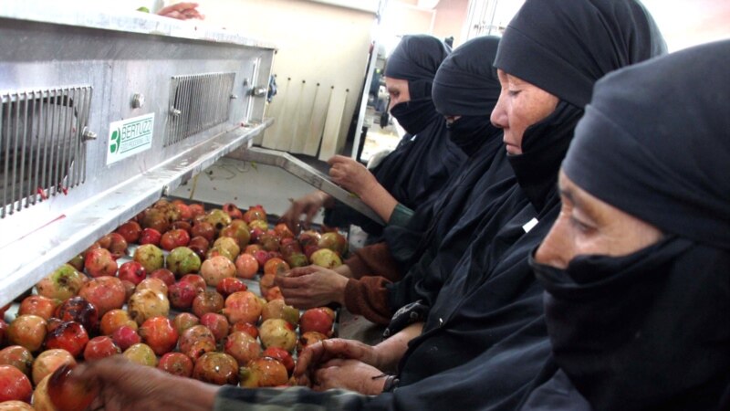 هند محدودیت‌ها بر بسته‌بندی محصولات زراعتی افغانستان را کاهش می‌دهد