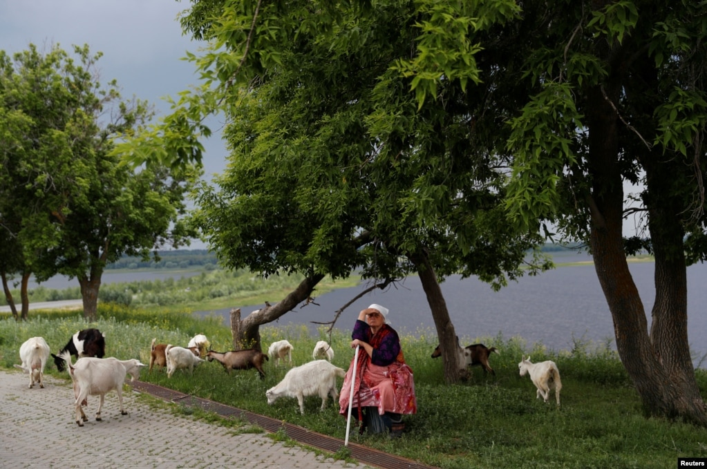 &nbsp;A woman sits with her goats in Sviyazhsk, Russia, on June 27. (Reuters/Darren Staples)