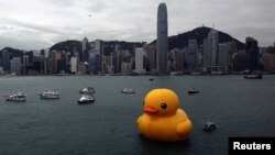 Rəssam Florentijn Hofmanın hazırladığı «rezin ördək» (Rubber Duck) Hong Kong-da