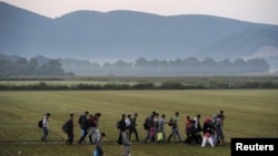 Migranți mergând pe un câmp în Ungaria