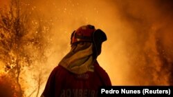 Сотрудник противопожарной службы тушит огонь в лесу. Лоуса, Португалия, 16 октября 2017 года.