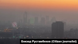 Ташкент