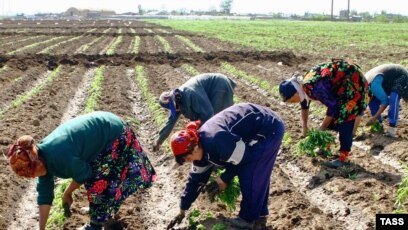 Katta olchamdagi ayollar bilan jinsiy aloqa