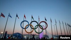 A person poses under a set of Olympic rings in front of the Olympic cauldron as preparations continue at the Olympic Park for the Sochi 2014 Winter Olympics.