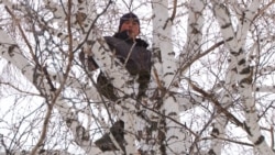 Russian Student Driven Up A Tree For Internet Signal