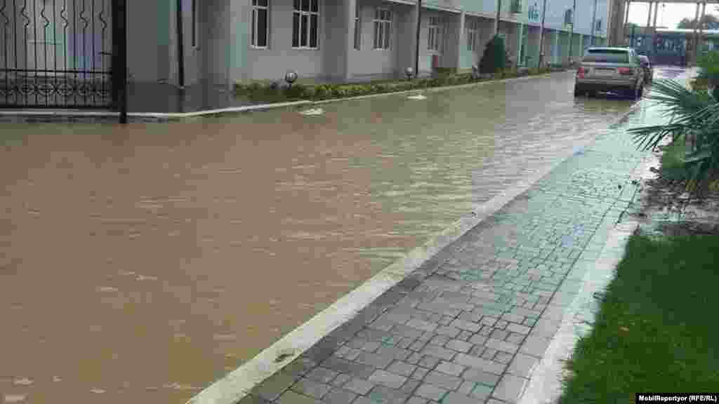 Bu fotonu Elvin Vəlizadə adlı internet istifadəçimiz Lənkəranda stadionun ətrafında çəkdiyini yazır.&nbsp;