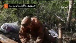 شکار عاج ماموت