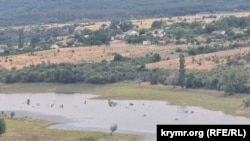Мелеющее Белогорское водохранилище у села Карасевка в Белогорском районе. 31 августа 2026 года