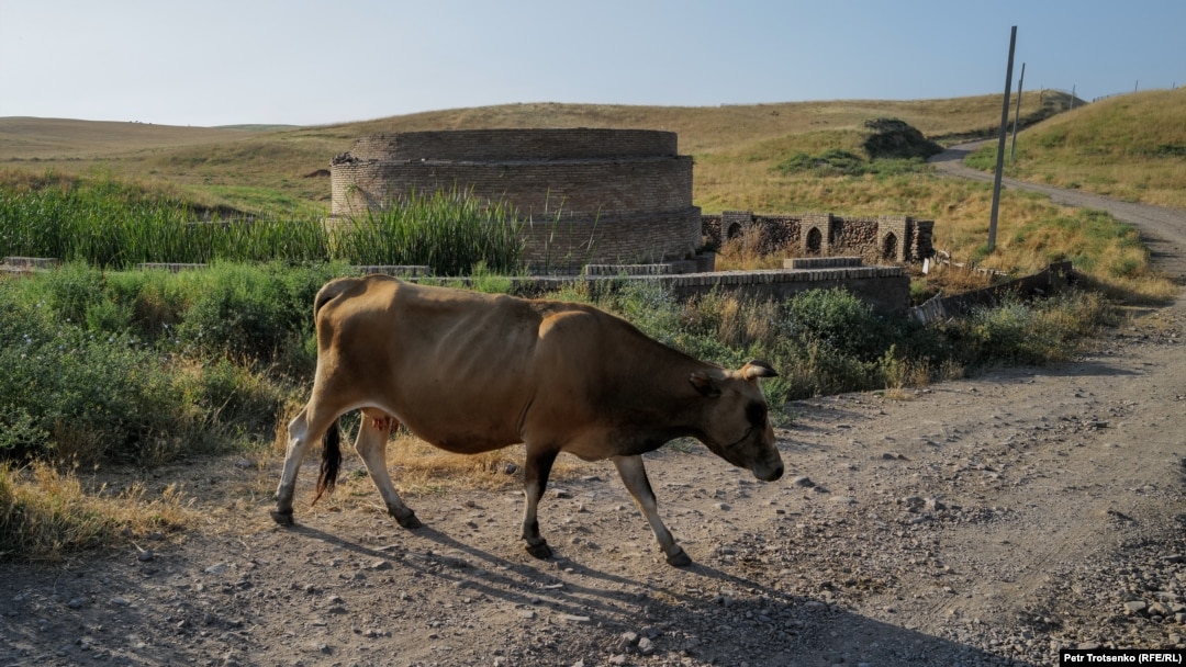 Толық бөксесі бар әйелдермен жыныстық қатынас