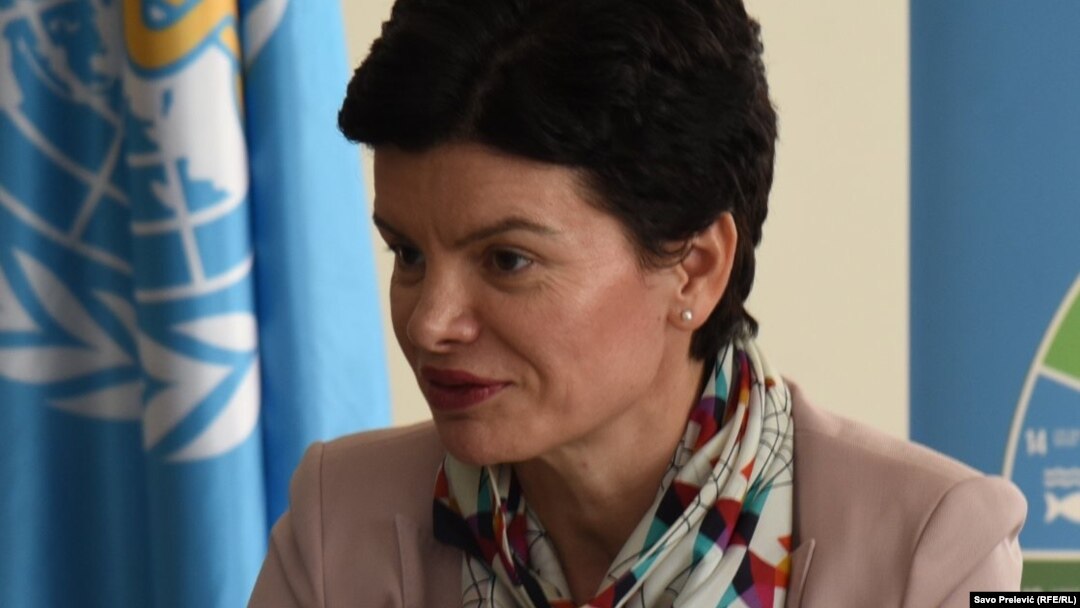 Mina Brajović