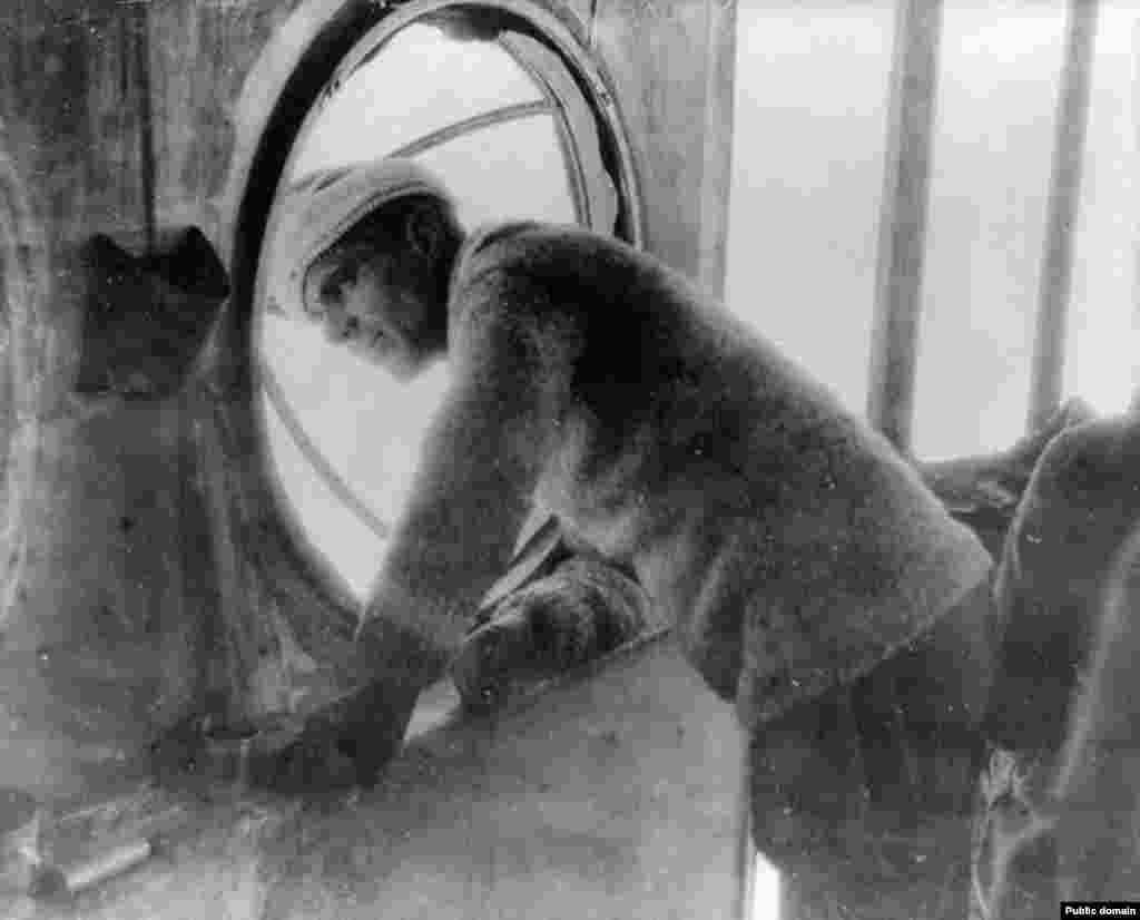 Russia -- Col. Umberto Nobile, designer of the "Norge," watching her departure from the base at Spitzbergen, from forward control car, 1926