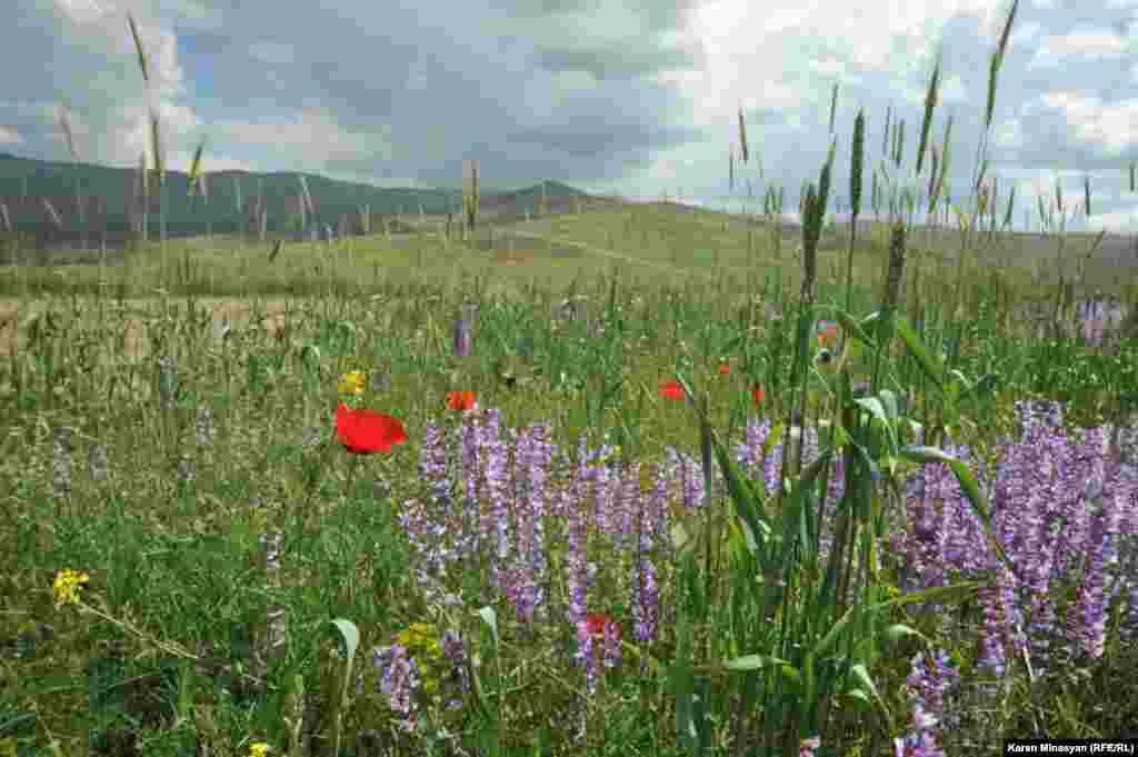 Armenia -- Treasures of Urtsasar mountains, 25Jun2012