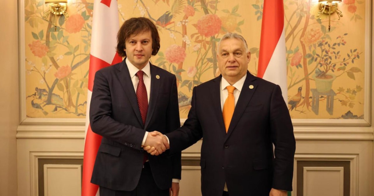 ირაკლი კობახიძე ვიქტორ ორბანს შეხვდა