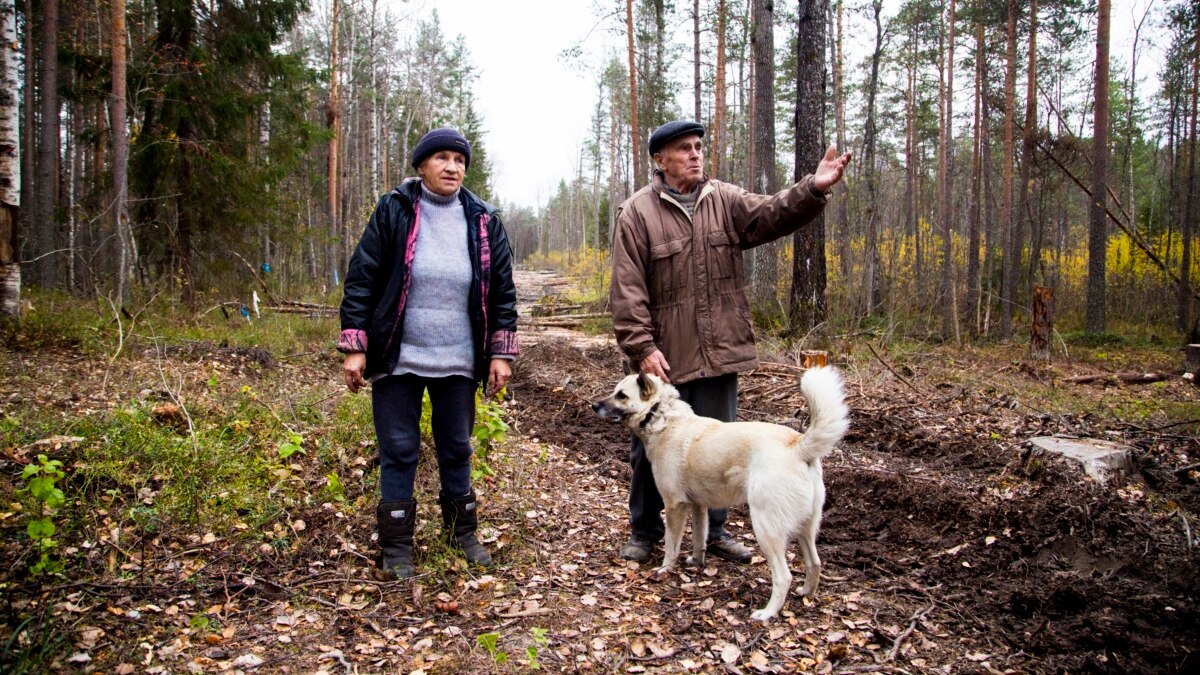 Партизаны Сунского леса