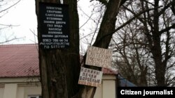 Иллюстративное фото