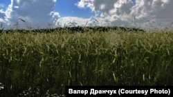 У вёсцы Язьвіны