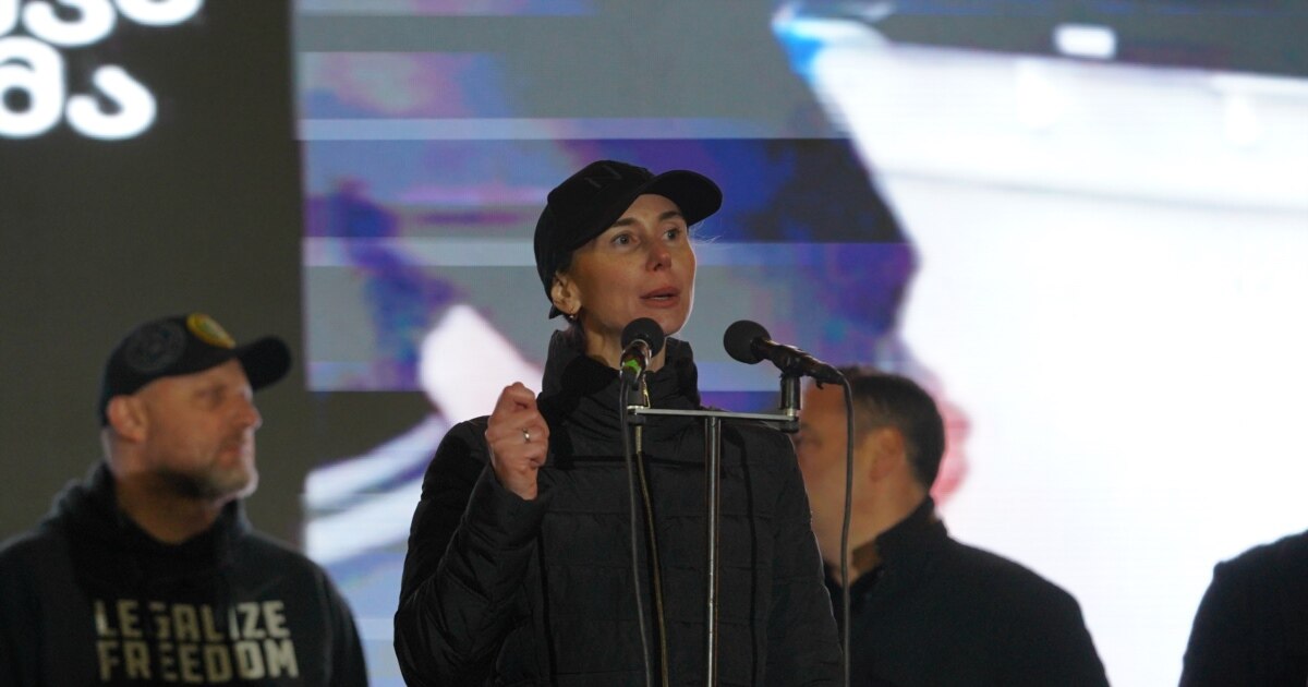 „ივანიშვილი ქვეყანაში აპირებს დიქტატურის დამყარებას“ - ბოკუჩავა ოპოზიციონერების მიმართ ახალ ბრალზე