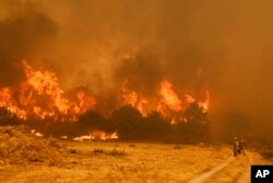 Zjarrfikësit qëndrojnë përpara flakëve gjatë një zjarri në Santa Baia De Montes, Spanjë, 14 gusht 2025.