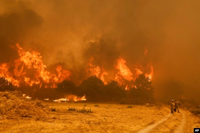 Zjarrfikësit qëndrojnë përpara flakëve gjatë një zjarri në Santa Baia De Montes, Spanjë, 14 gusht 2025.